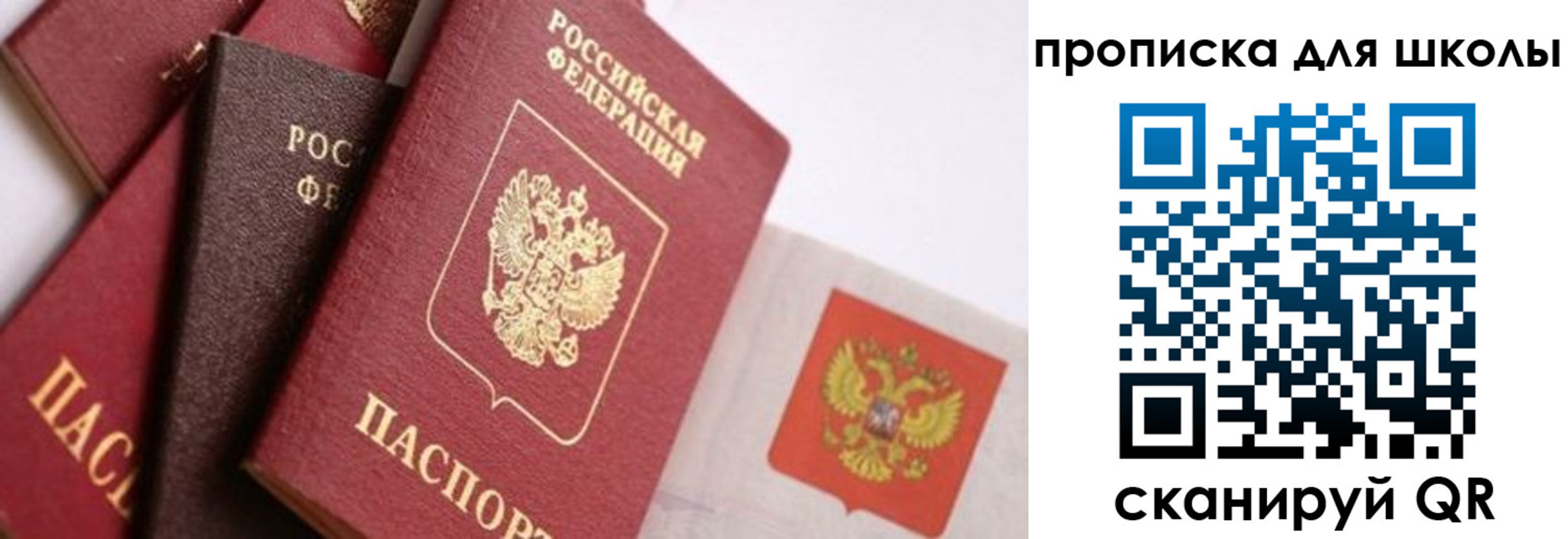 прописка поиск в Хотьково